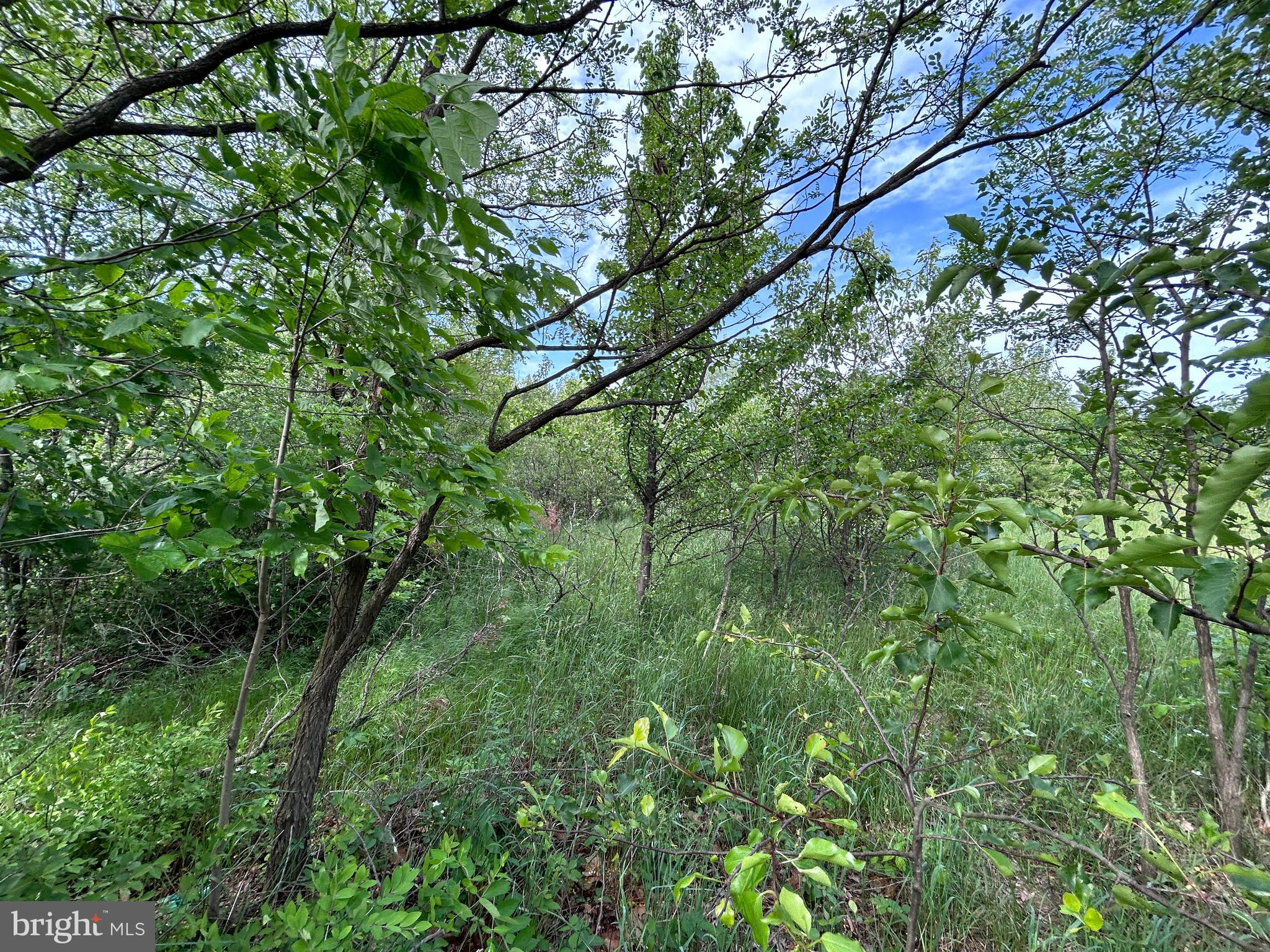 ALMOST HEAVEN ACRES - Land