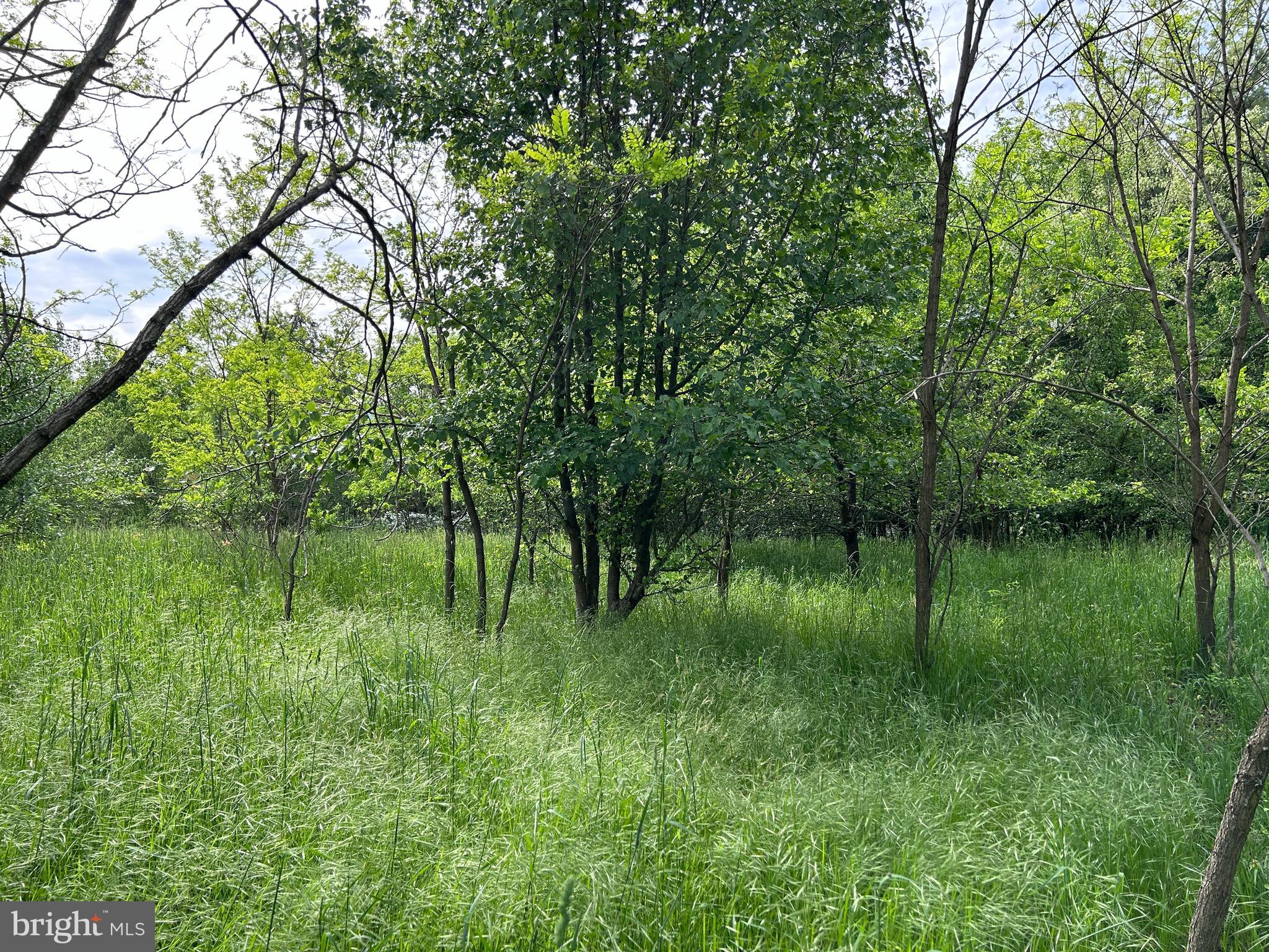 ALMOST HEAVEN ACRES - Land