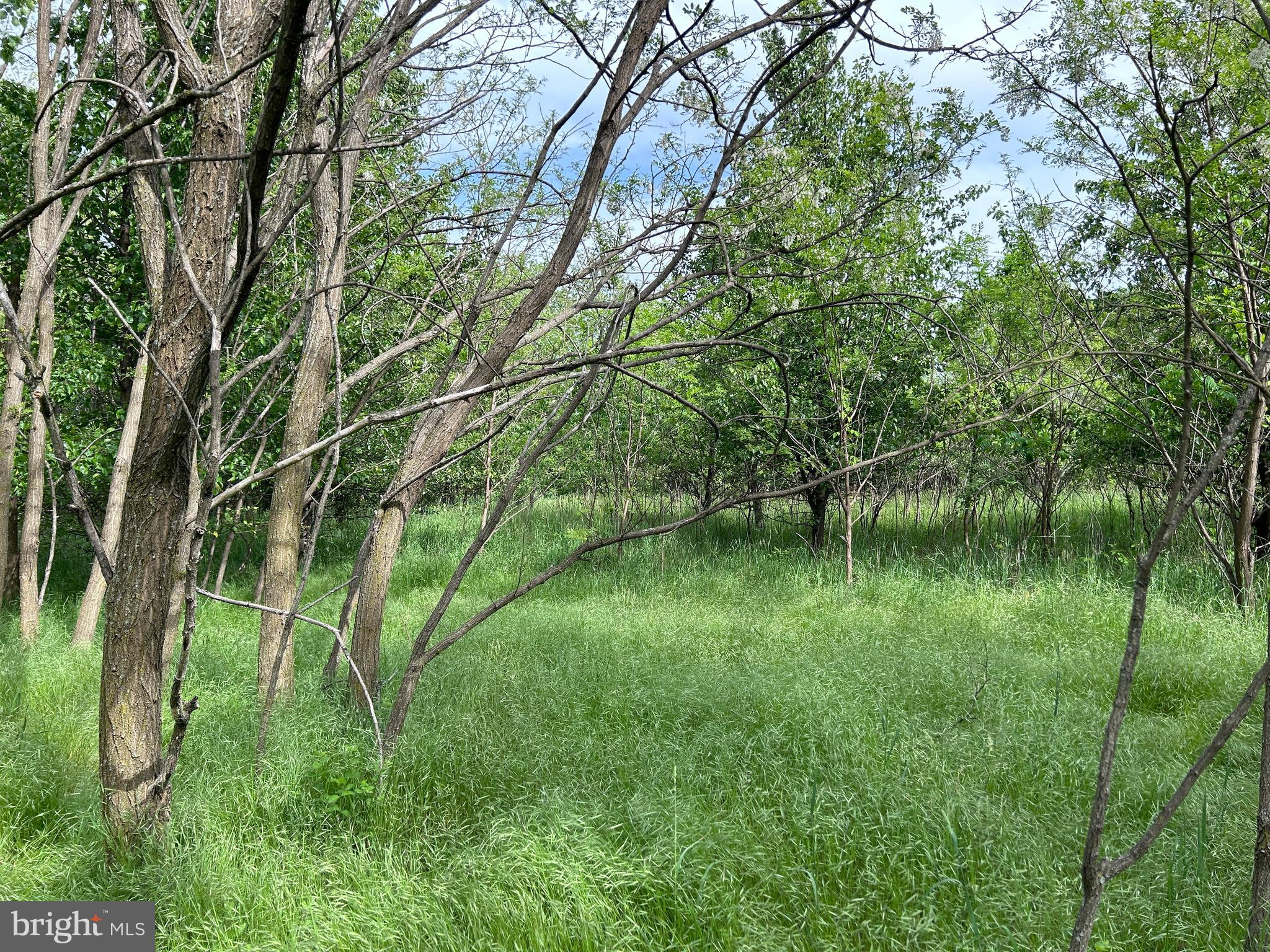 ALMOST HEAVEN ACRES - Land