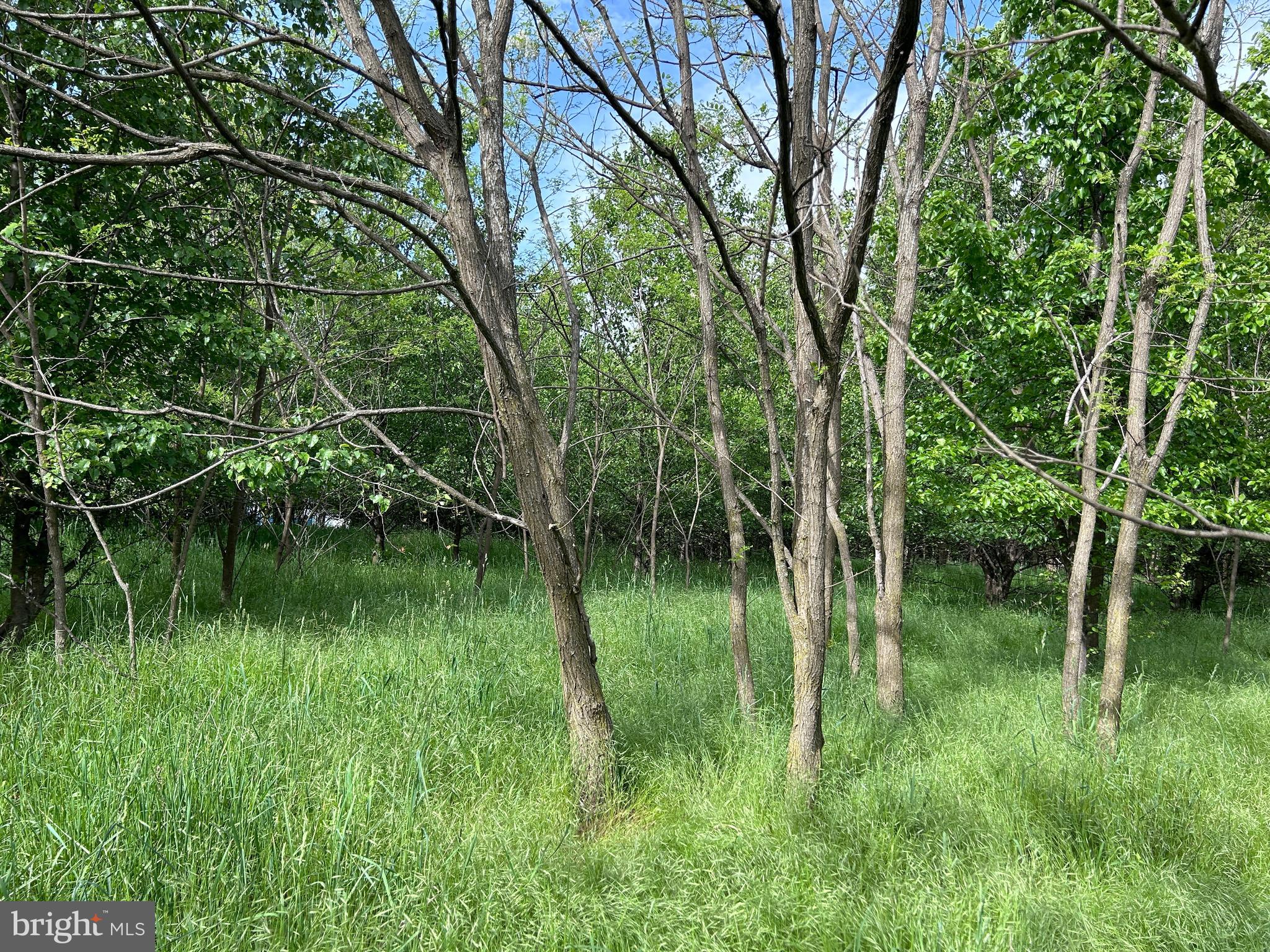 ALMOST HEAVEN ACRES - Land