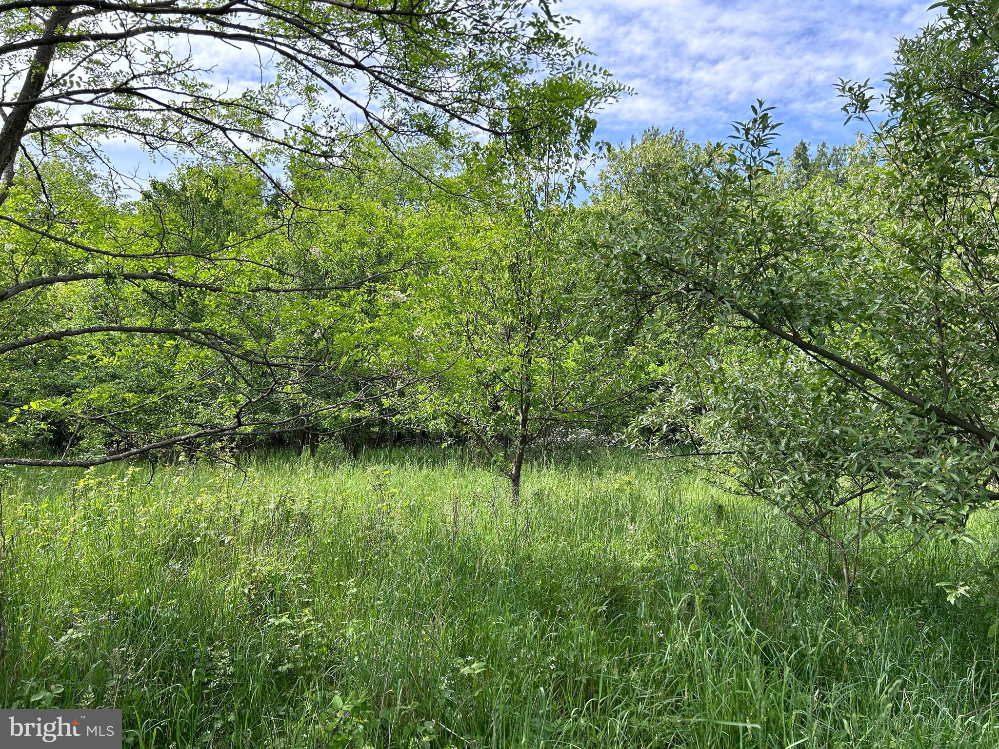 ALMOST HEAVEN ACRES - Land