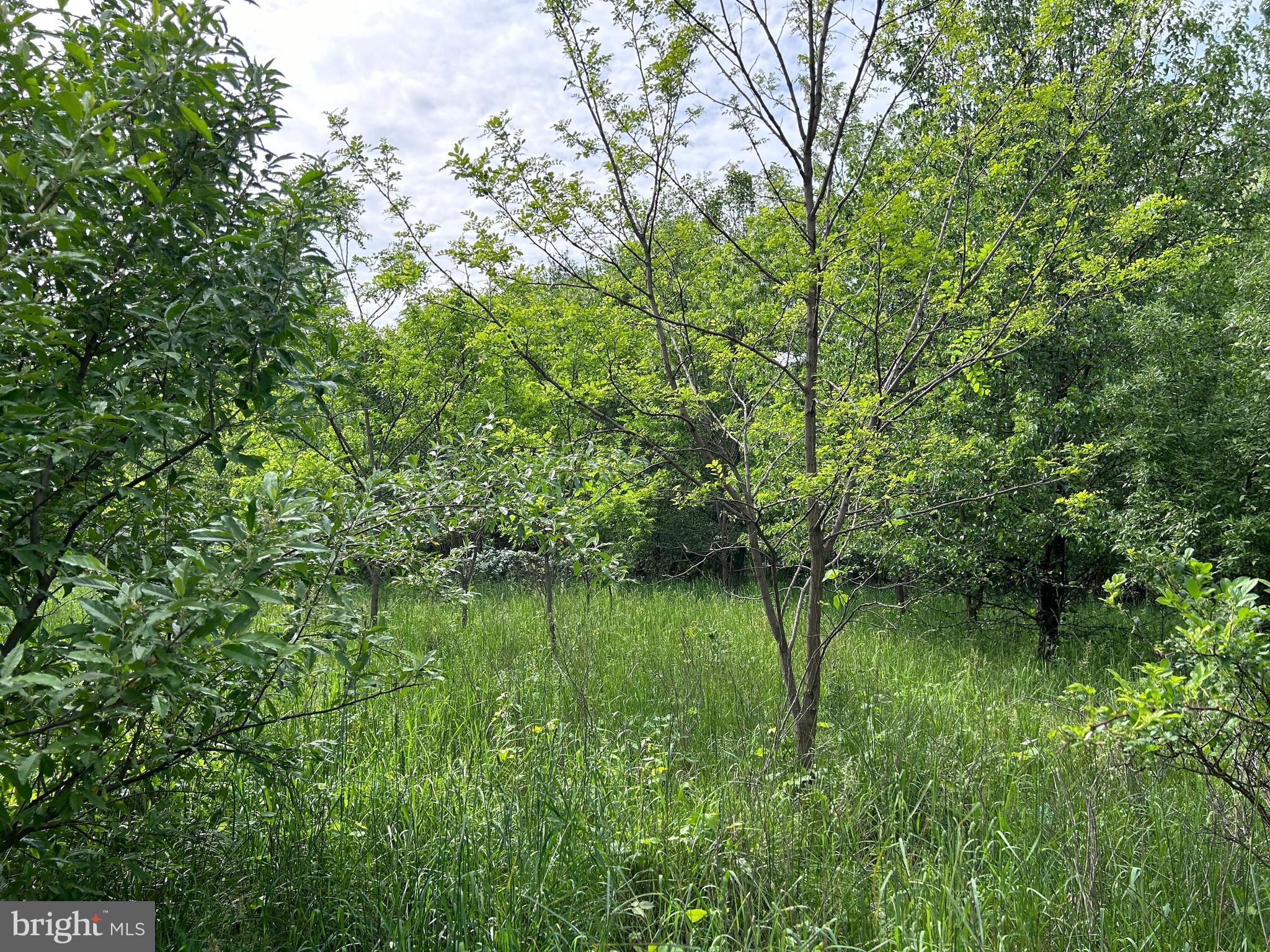 ALMOST HEAVEN ACRES - Land