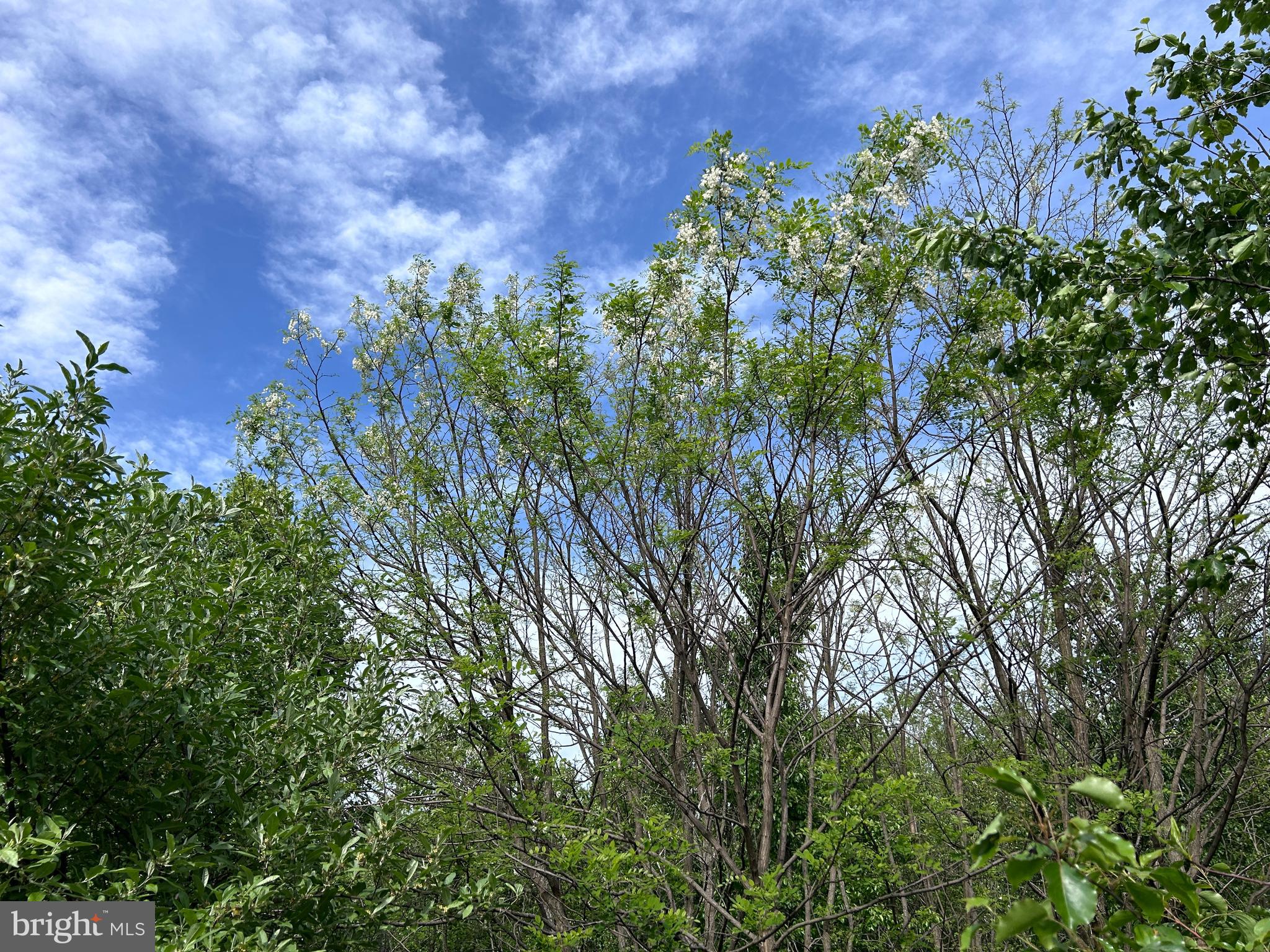 ALMOST HEAVEN ACRES - Land