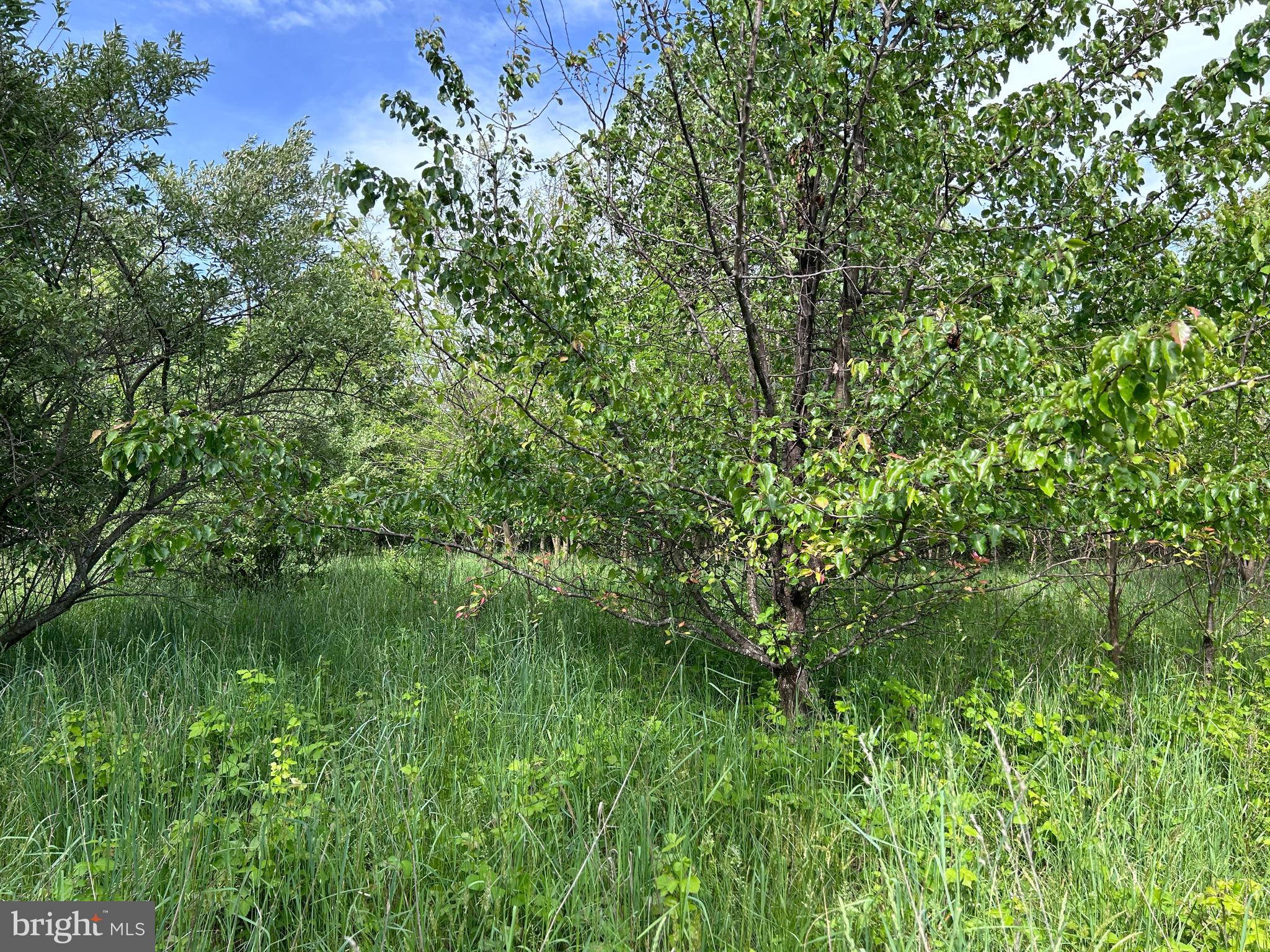 ALMOST HEAVEN ACRES - Land