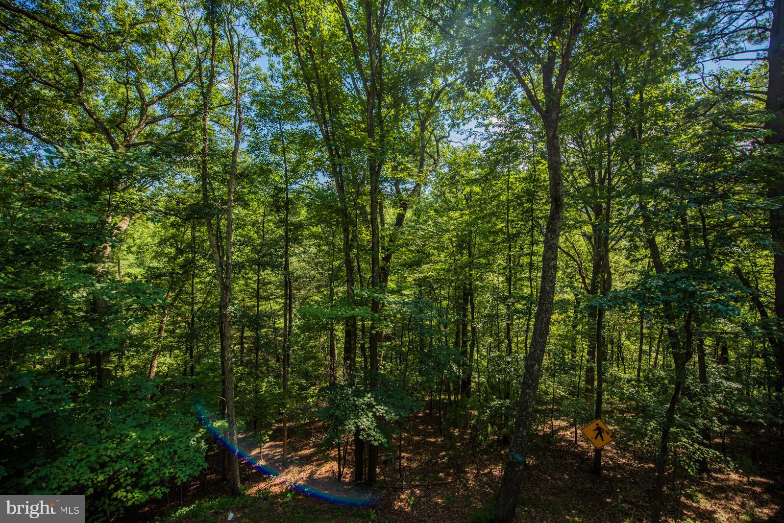 SLEEPY CREEK ORCHARD - Residential
