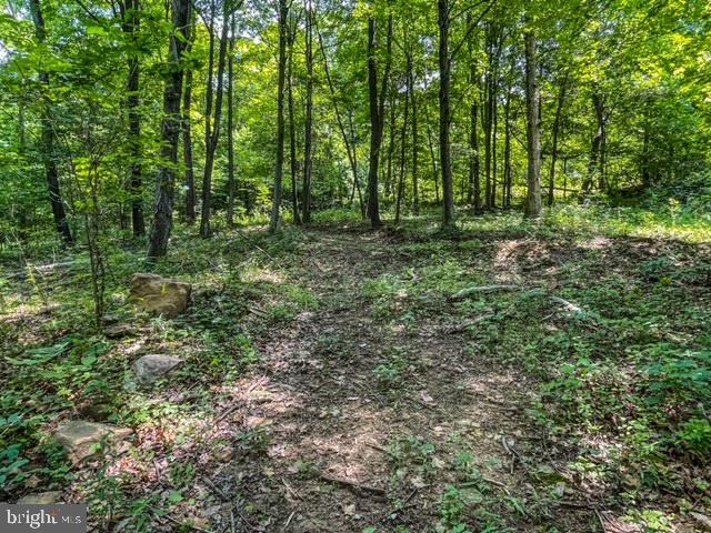 25413 SISLER HILL ROAD