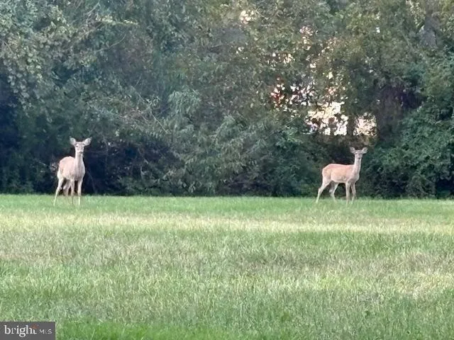 Middletown, Delaware 19709, United States, 4 Bedrooms Bedrooms, ,3 BathroomsBathrooms,Residential,Coming Soon,225203