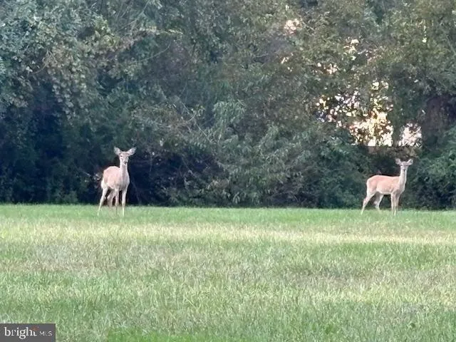 Middletown, Delaware 19709, United States, 4 Bedrooms Bedrooms, ,3 BathroomsBathrooms,Residential,Coming Soon,225203