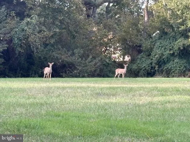Middletown, Delaware 19709, United States, 4 Bedrooms Bedrooms, ,3 BathroomsBathrooms,Residential,Coming Soon,225203