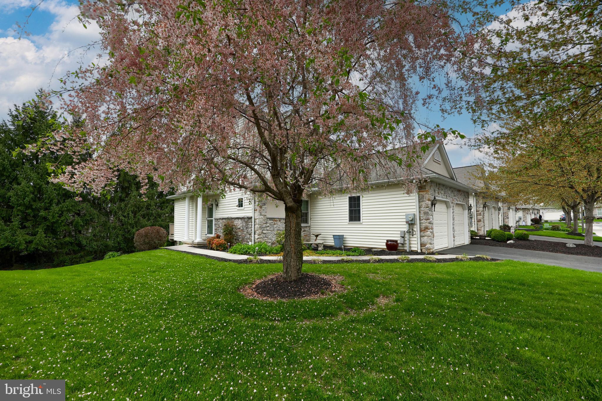 REGENTS PARK - Residential