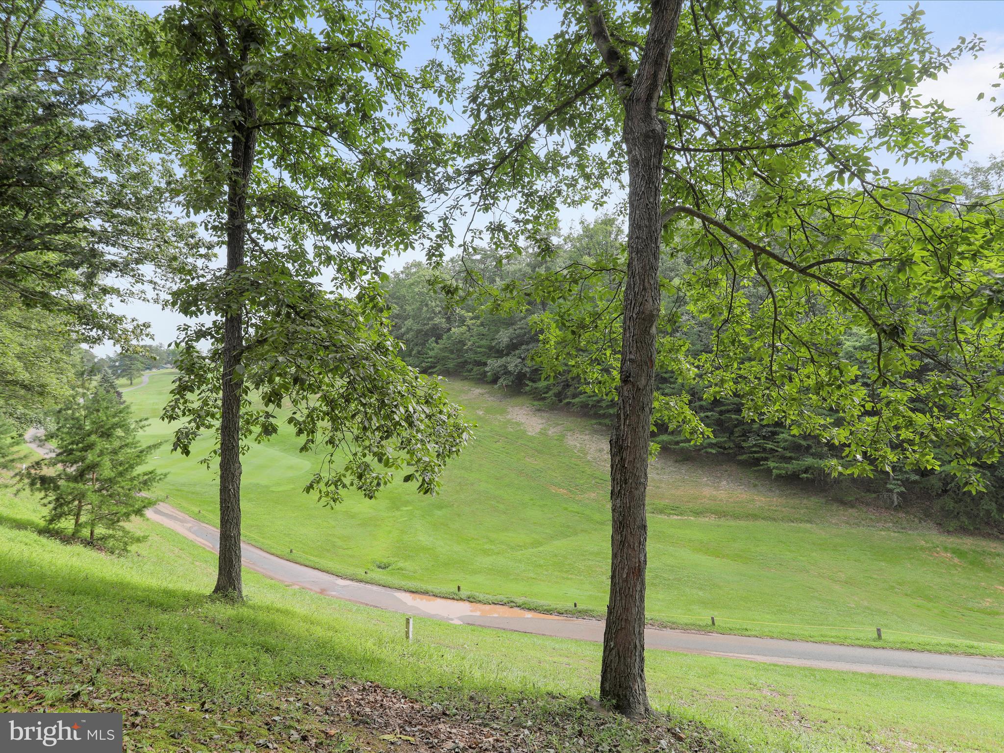 THE WOODS - Residential