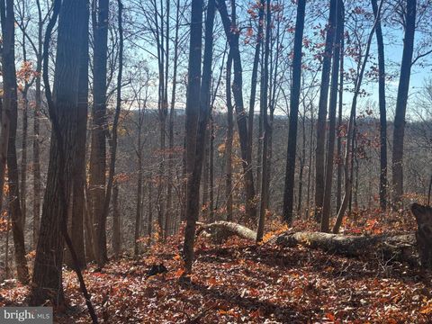 38196 LIME KILN ROAD MIDDLEBURG VA 20117