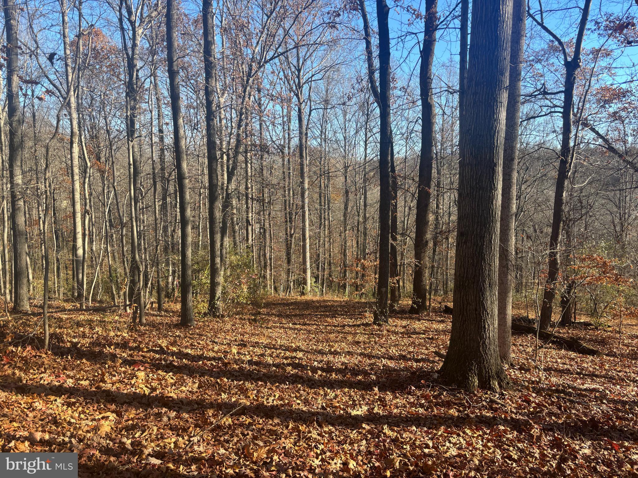 38196 LIME KILN ROAD