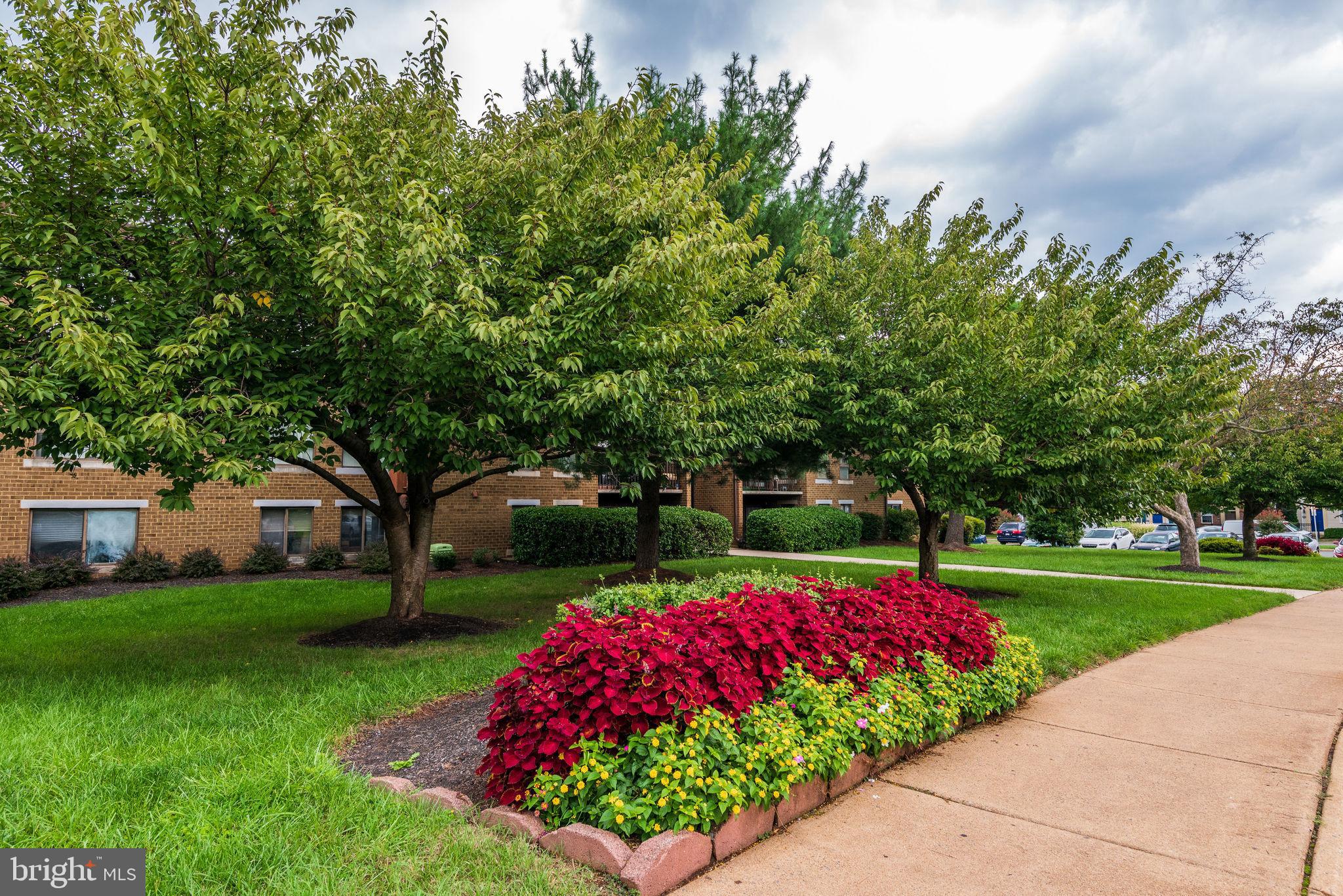 JEFFERSON MEWS - Residential