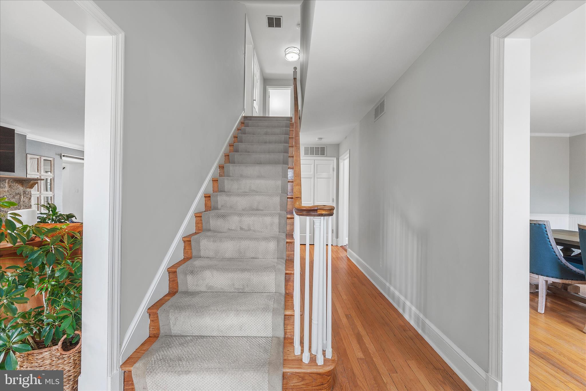 PENDENNIS MOUNT - Residential