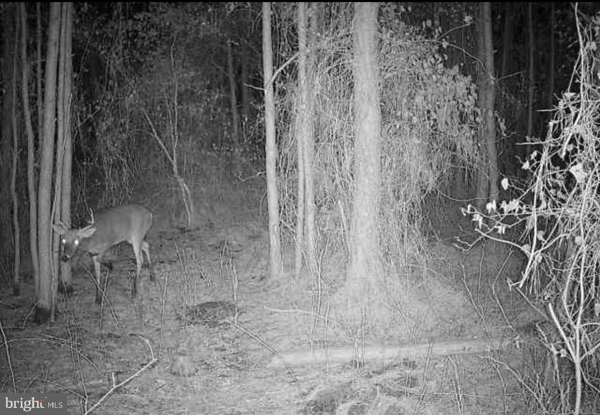 0 BOONE ROAD PARCEL 463