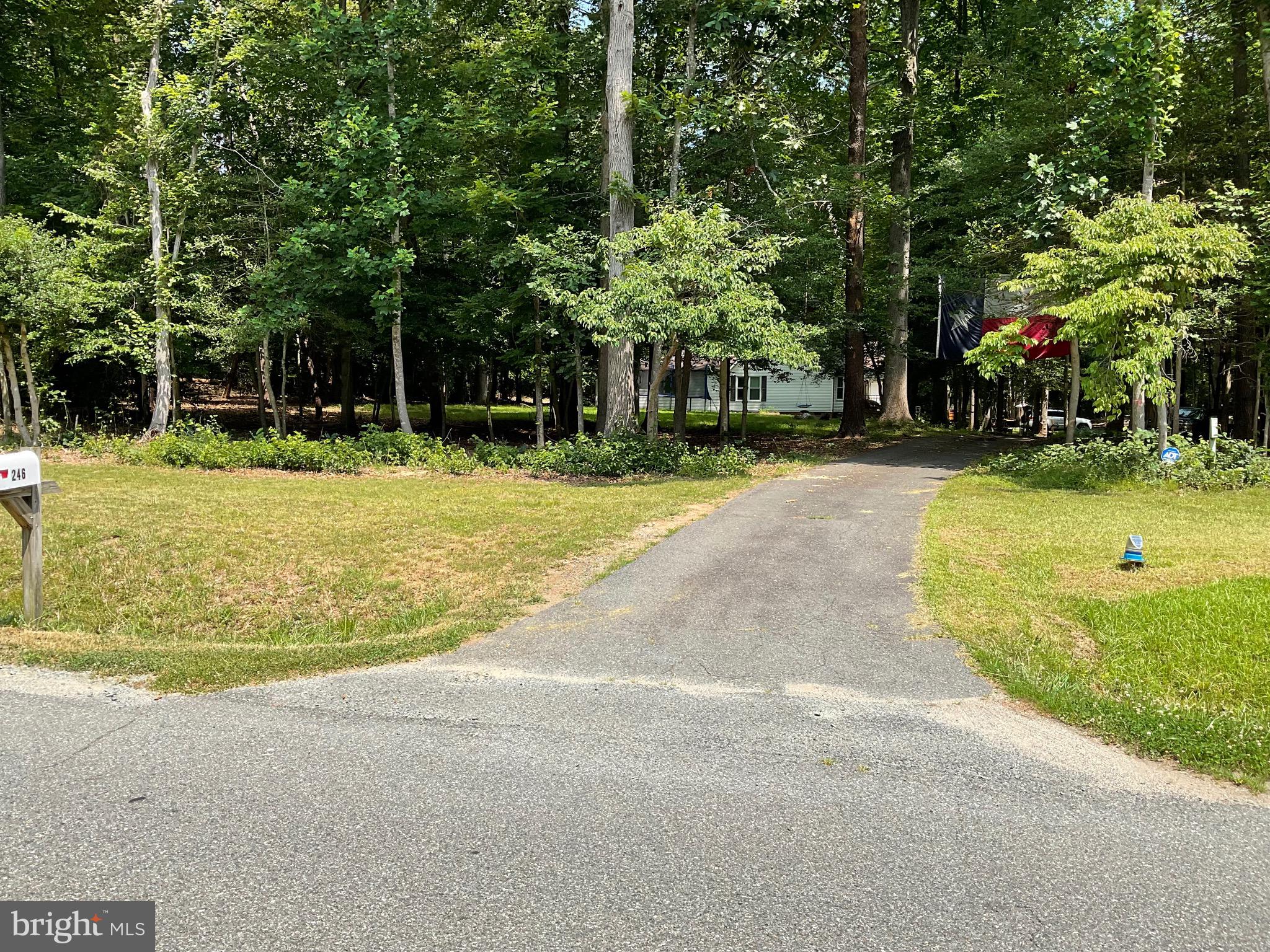 WINDSOR FOREST - Residential Lease