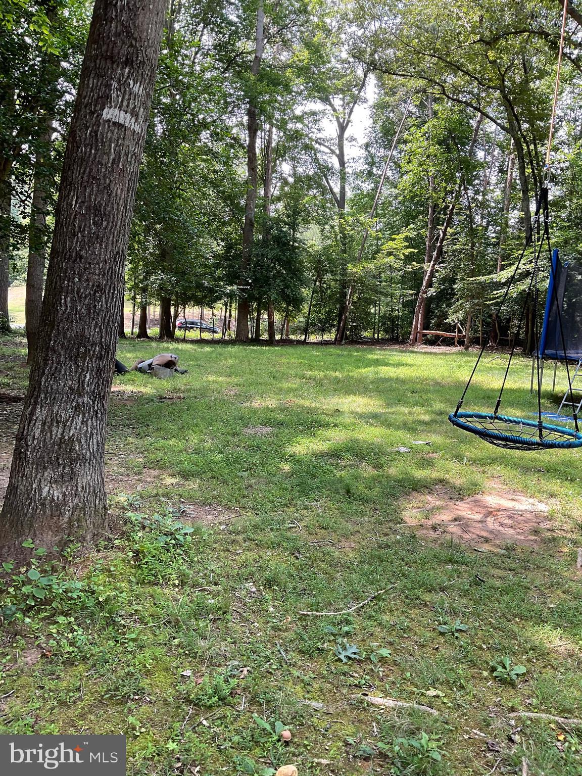 WINDSOR FOREST - Residential Lease