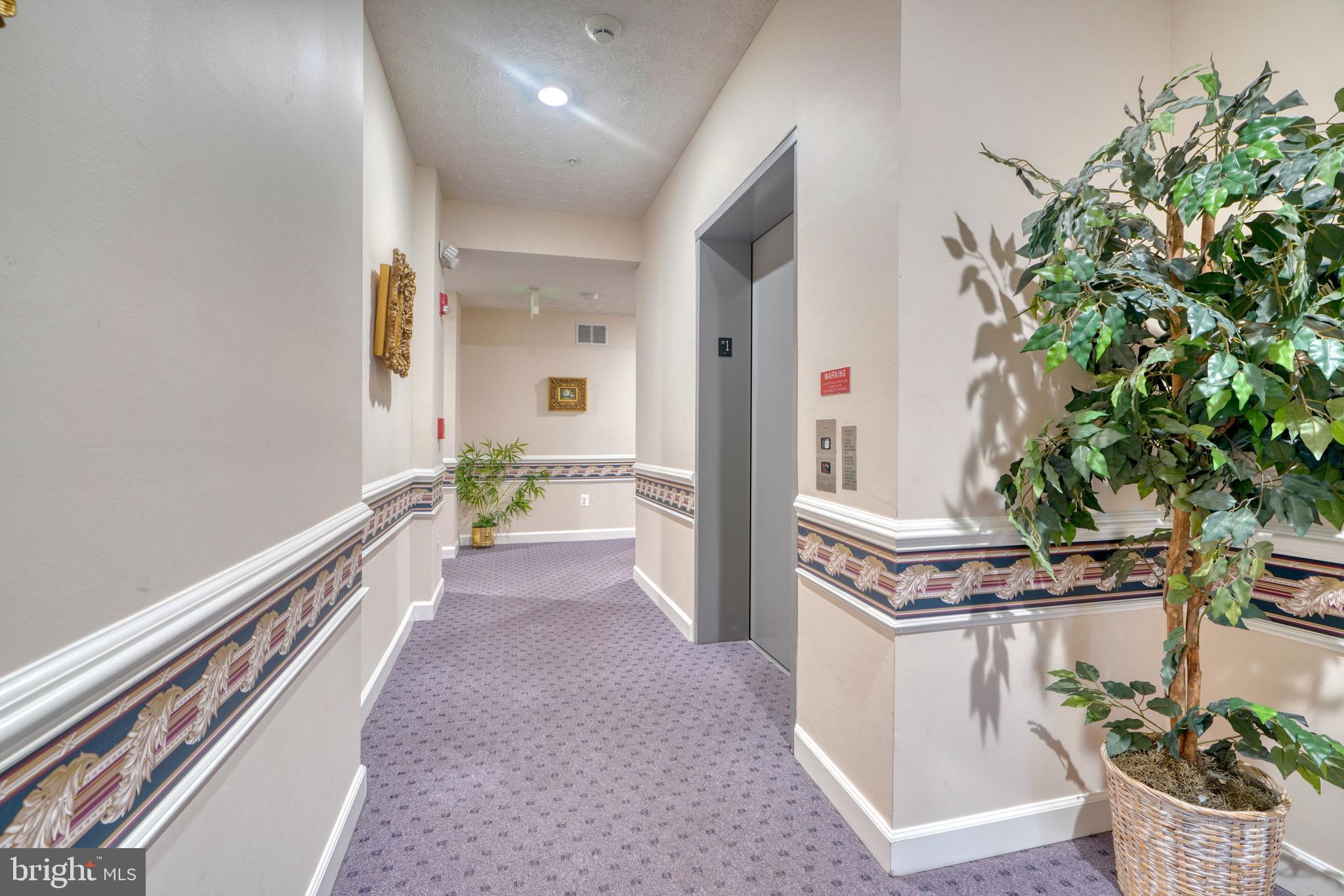 THE POND - Residential