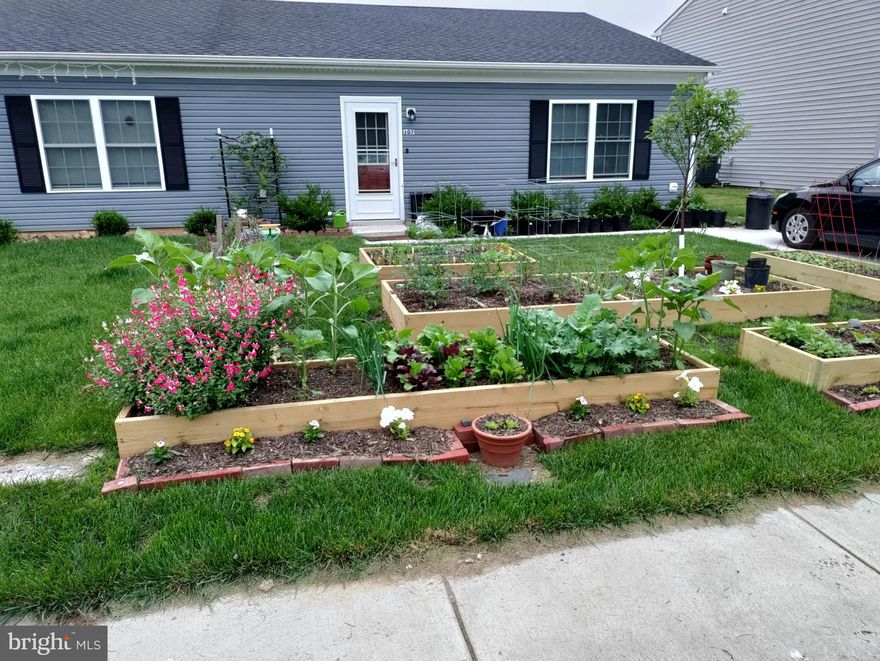 Why rent when you can own for less?!?! Three beds, 2 baths!! This inviting one-level home offers easy one-level living. Featuring luxury vinyl plank flooring , a stylish open kitchen and granite countertops, and a cozy eat-in area that opens to the living room, this home feels very welcoming.  

The comfortable primary suite features a full bath, while two additional bedrooms provide flexibility for guests, a home office, or extra living space. Step outside, to enjoy the covered patio, perfect for morning coffee.  Or dig in to the convenient raised garden beds in both the front and backyard—perfect for growing your own herbs, flowers, or veggies! The rear fenced backyard adds privacy and a safe space for pets or play.  

Located just minutes from shopping and the newer YMCA, this home is in a fantastic, convenient location. Don't miss the chance to make this cozy, well-maintained home yours!