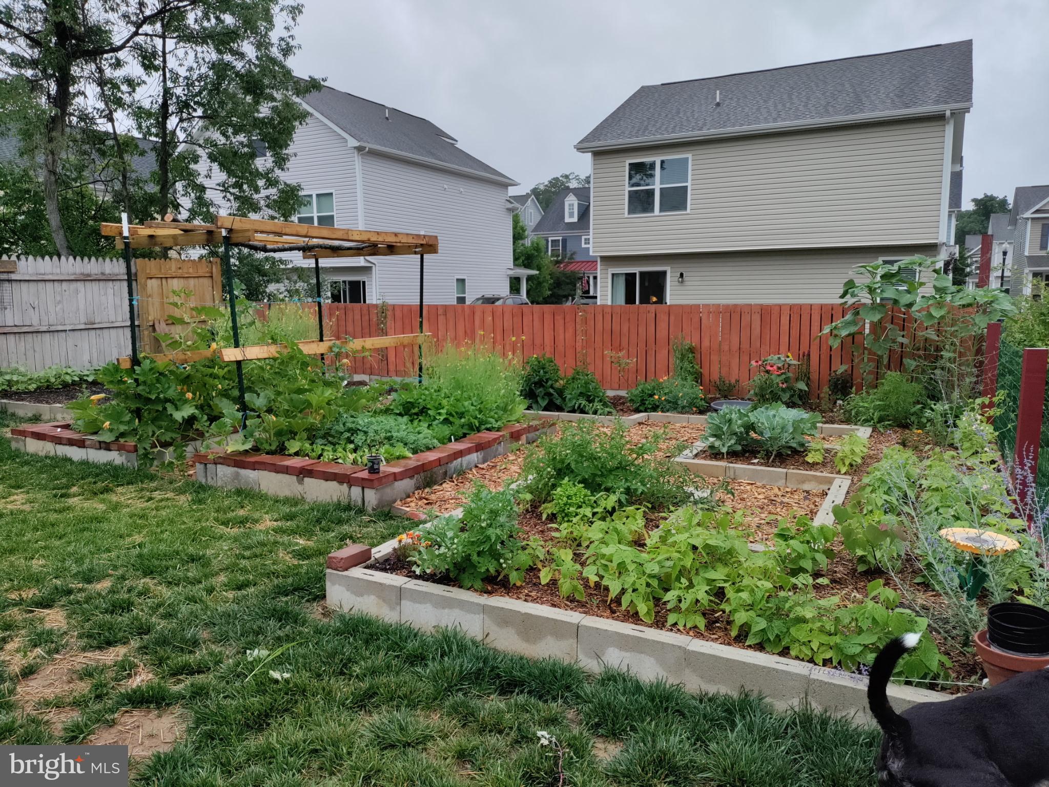 CHESTER ARMS - Residential