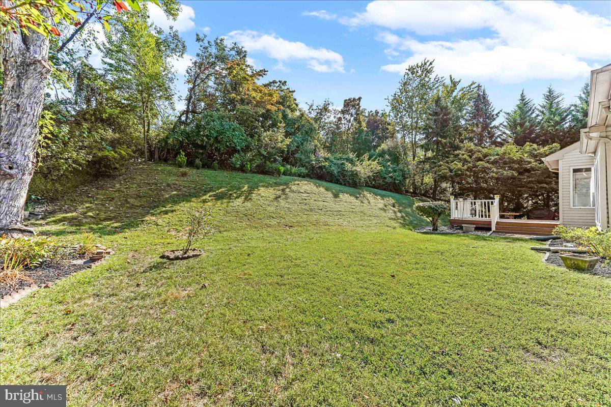 HUNT AT LOUVIERS - Residential