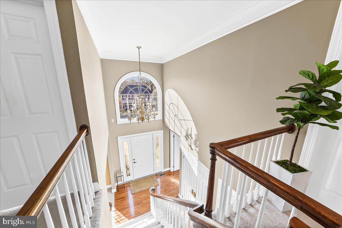 HUNT AT LOUVIERS - Residential