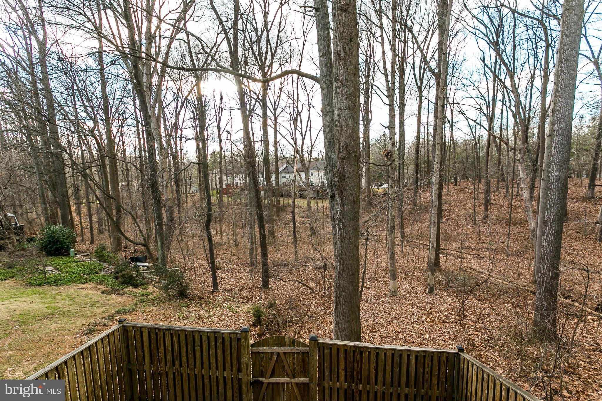 CLARY'S FOREST - Residential