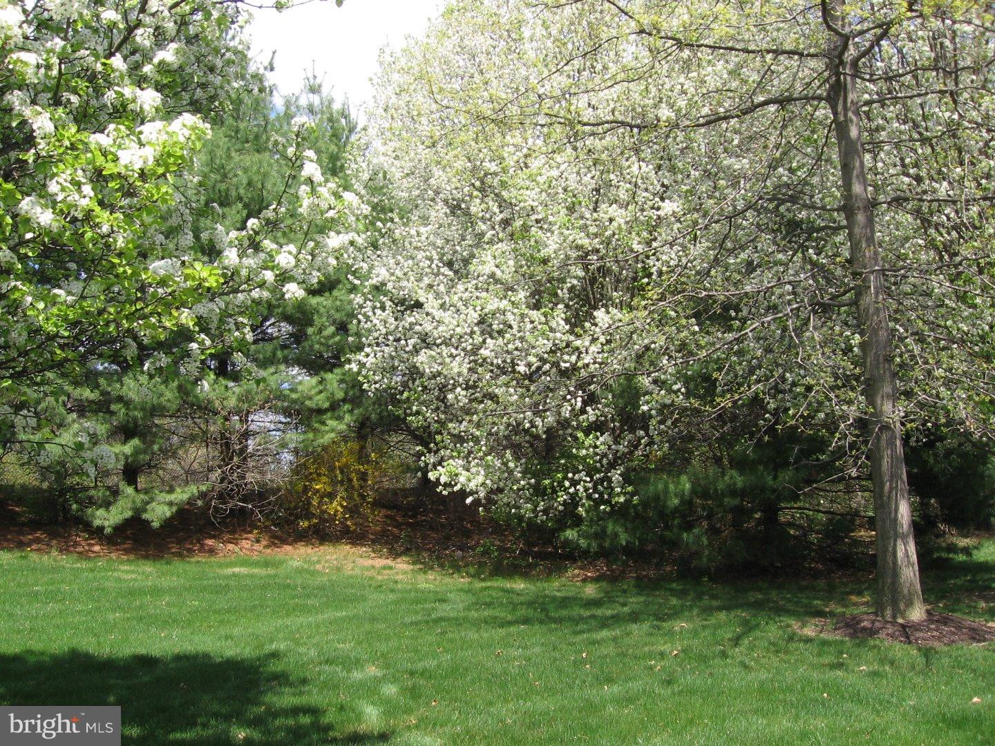 CONCORD CROSSING - Residential