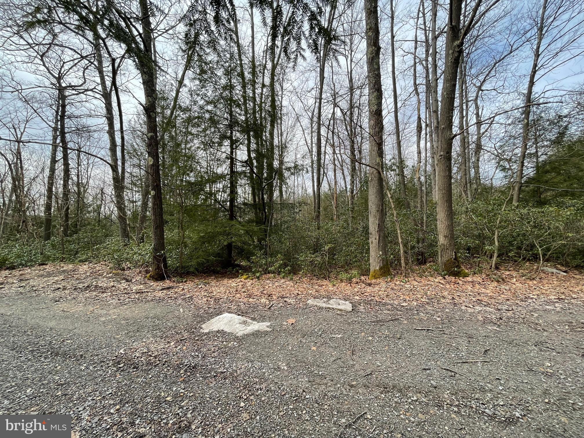 PINEY MOUNTAIN CORP - Land