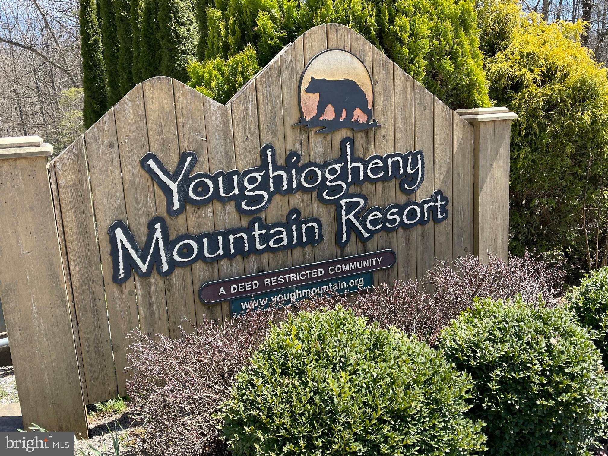 PINEY MOUNTAIN CORP - Land