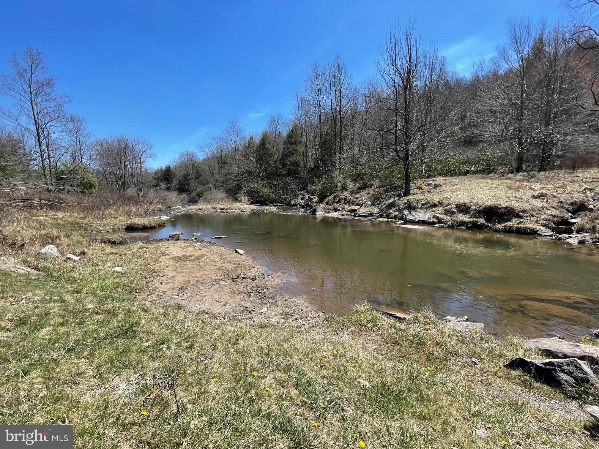 PINEY MOUNTAIN CORP - Land