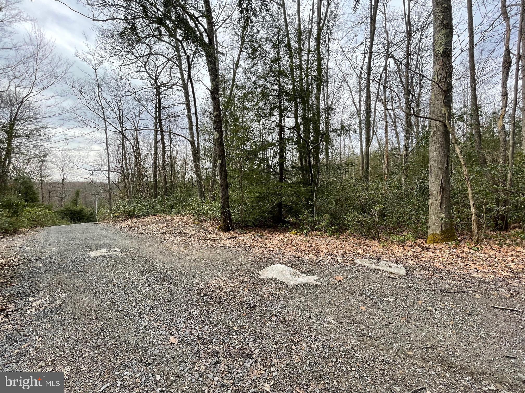 PINEY MOUNTAIN CORP - Land