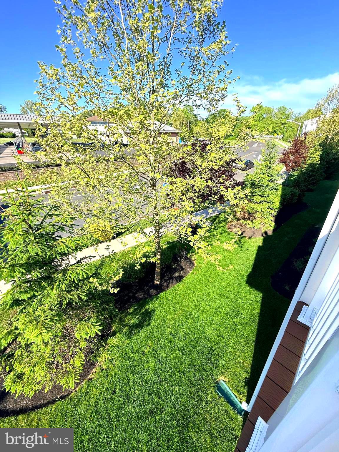 HIGH GROVE - Residential