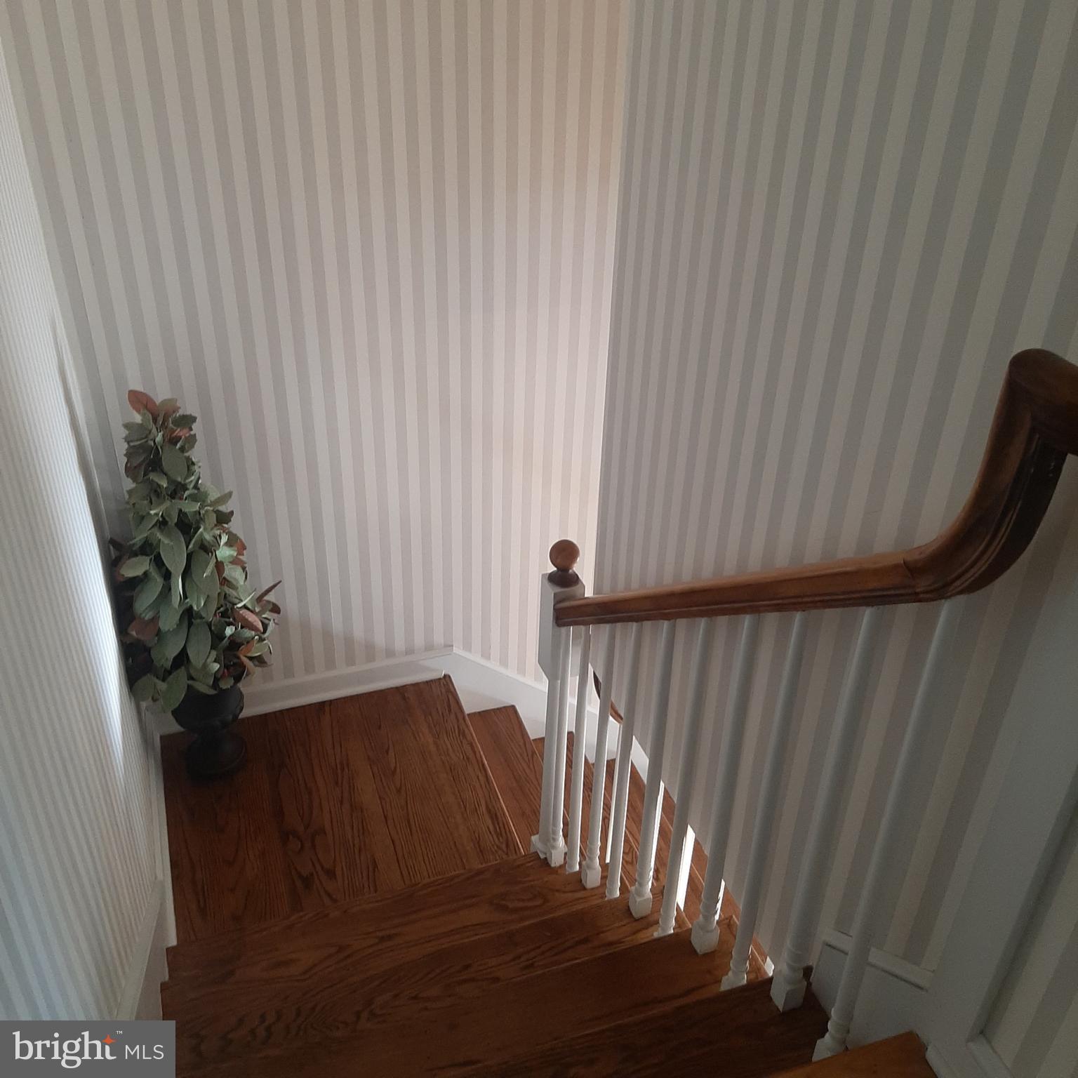 STEAMBOAT RUN ESTATES - Residential