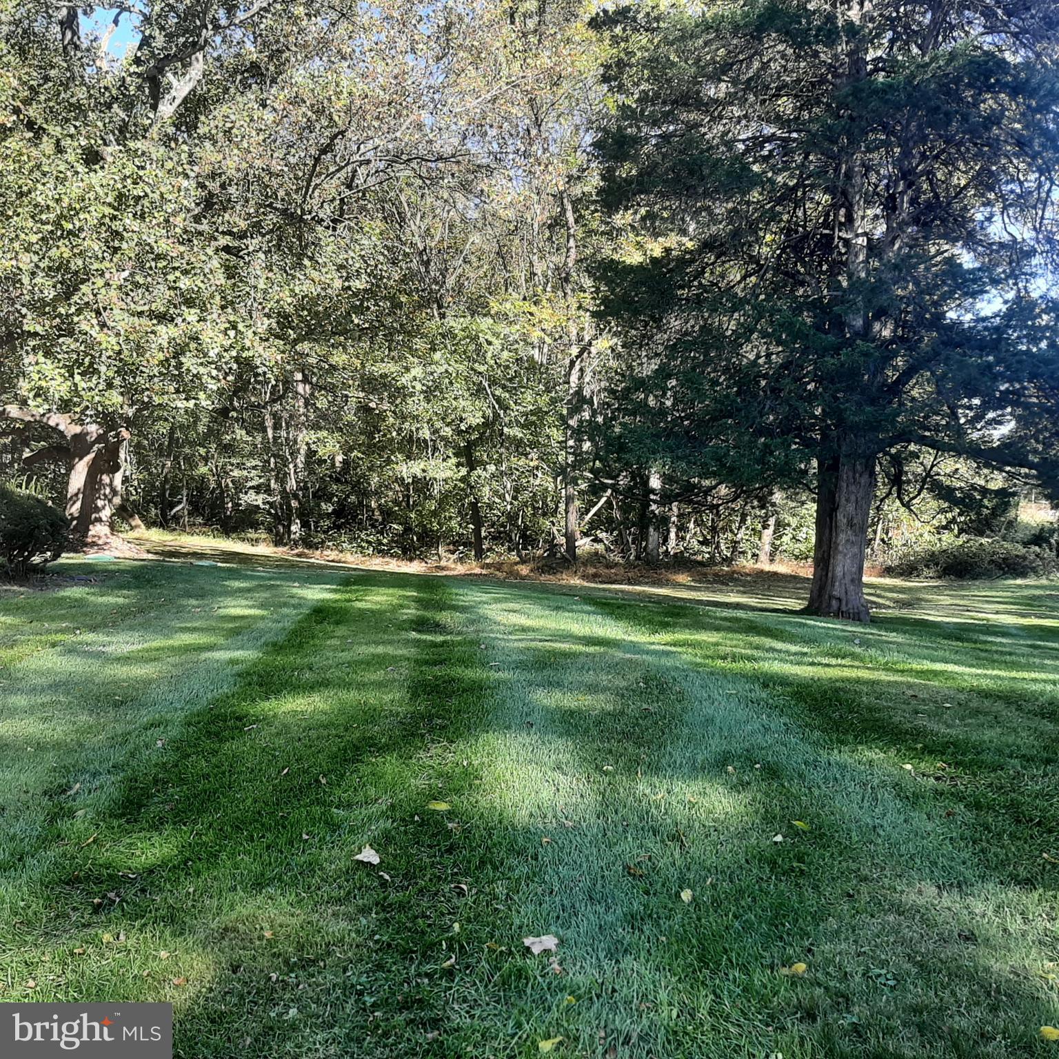 STEAMBOAT RUN ESTATES - Residential