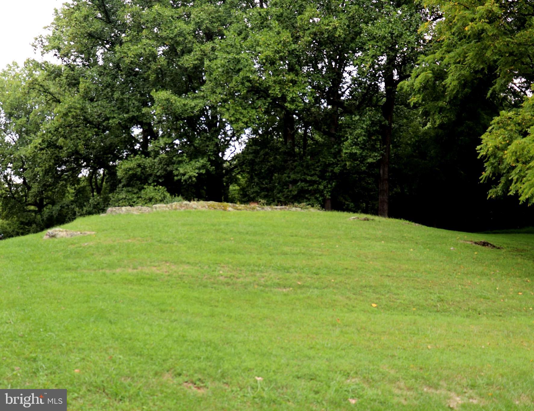 STEAMBOAT RUN ESTATES - Residential