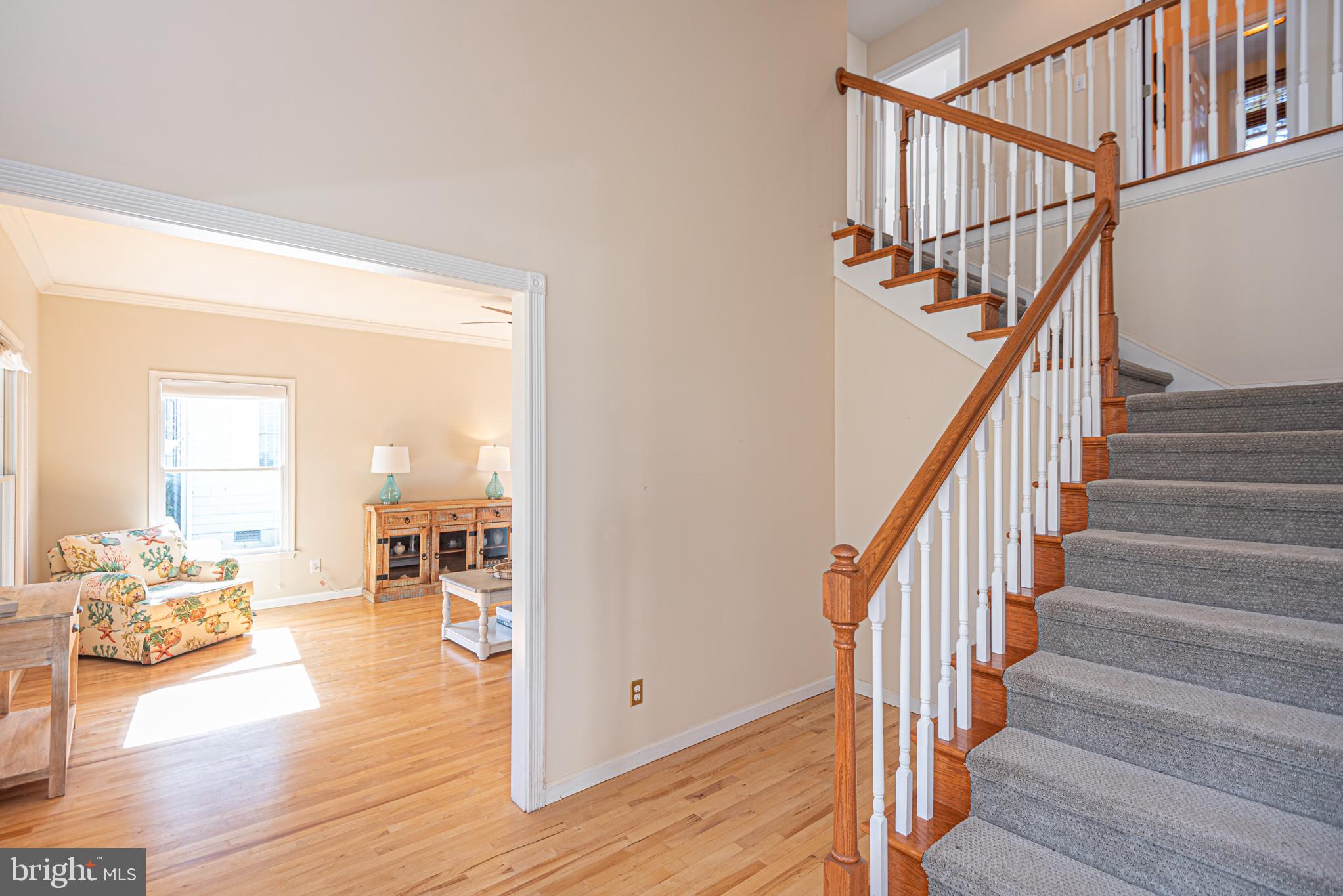 SALT POND - Residential