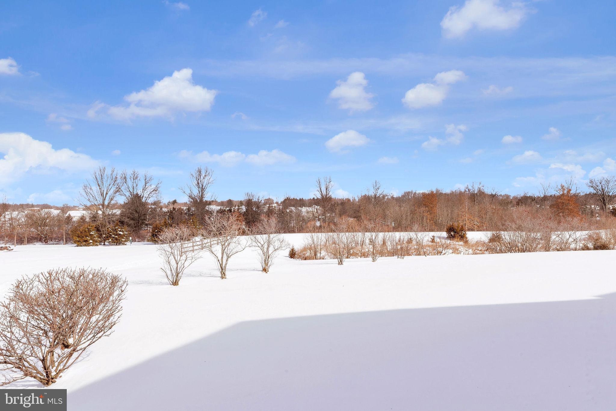 EMERALD HOLLOW ESTS - Residential