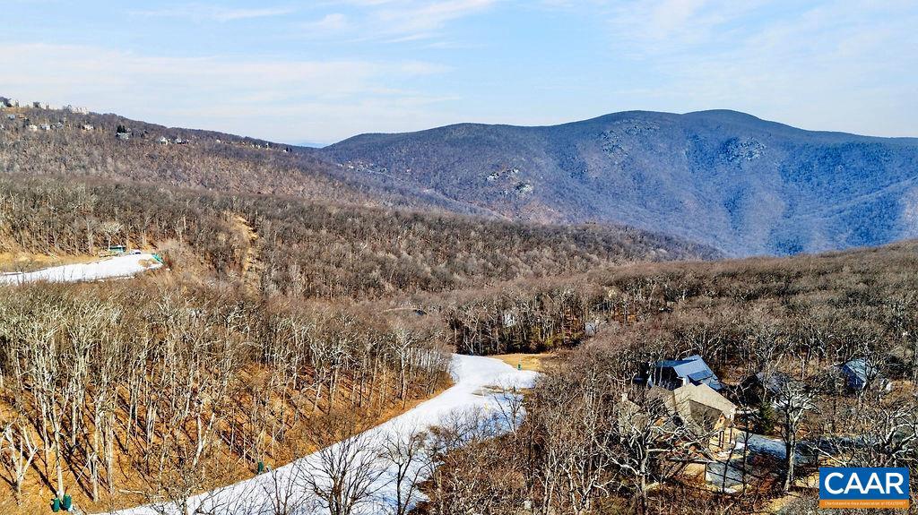 WINTERGREEN RESORT - Residential