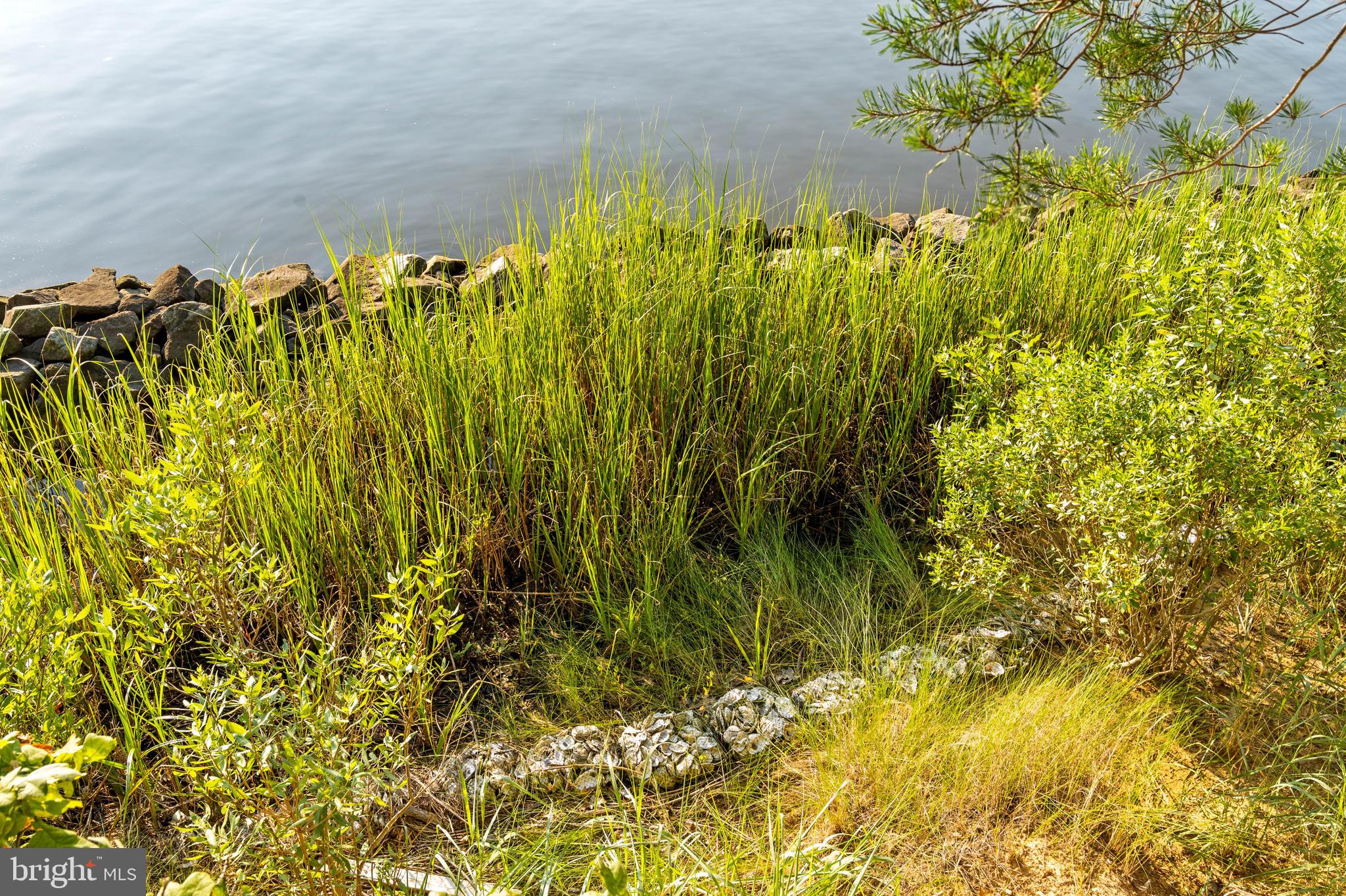 ST MARYS CITY - Residential