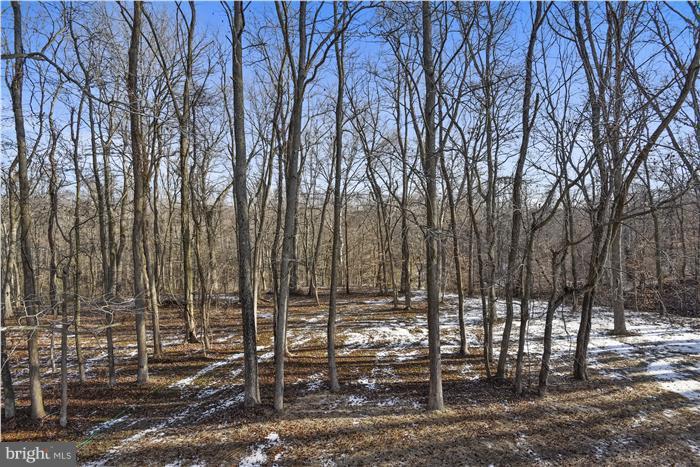 CHESAPEAKE LANDING - Residential