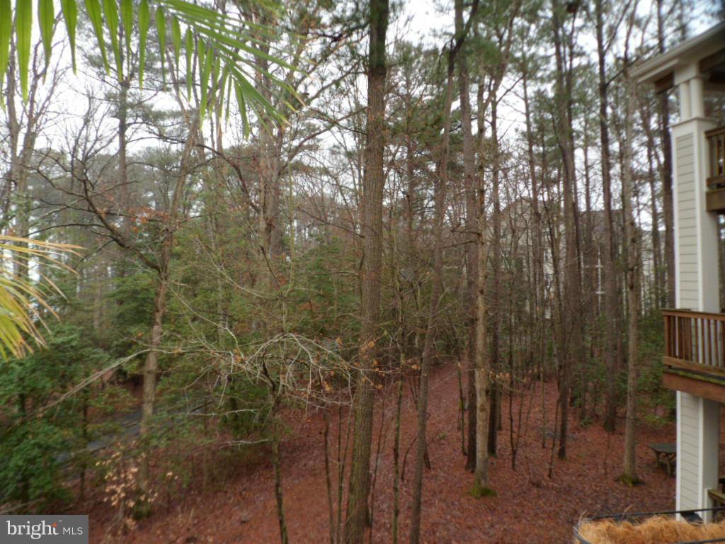 SOLOMONS LANDING - Residential Lease