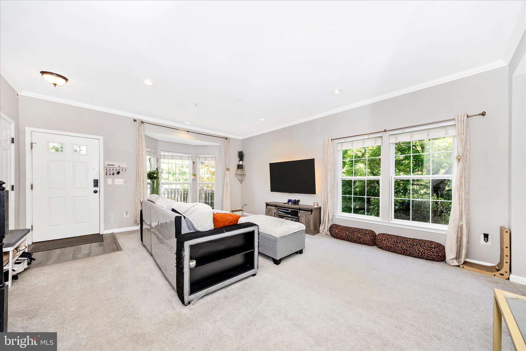 WILLOW BROOK - Residential