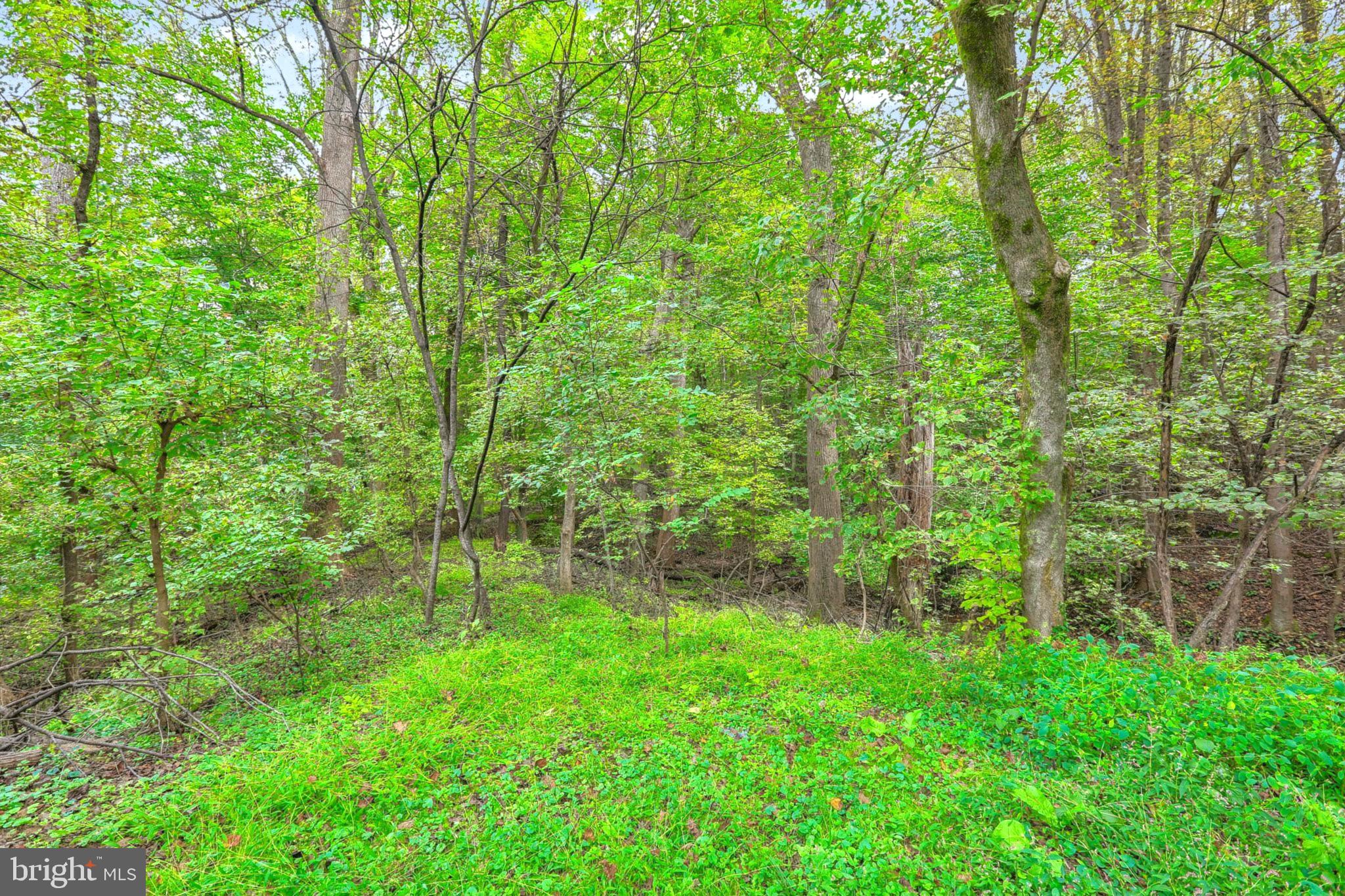 KINGSVILLE - Commercial Sale