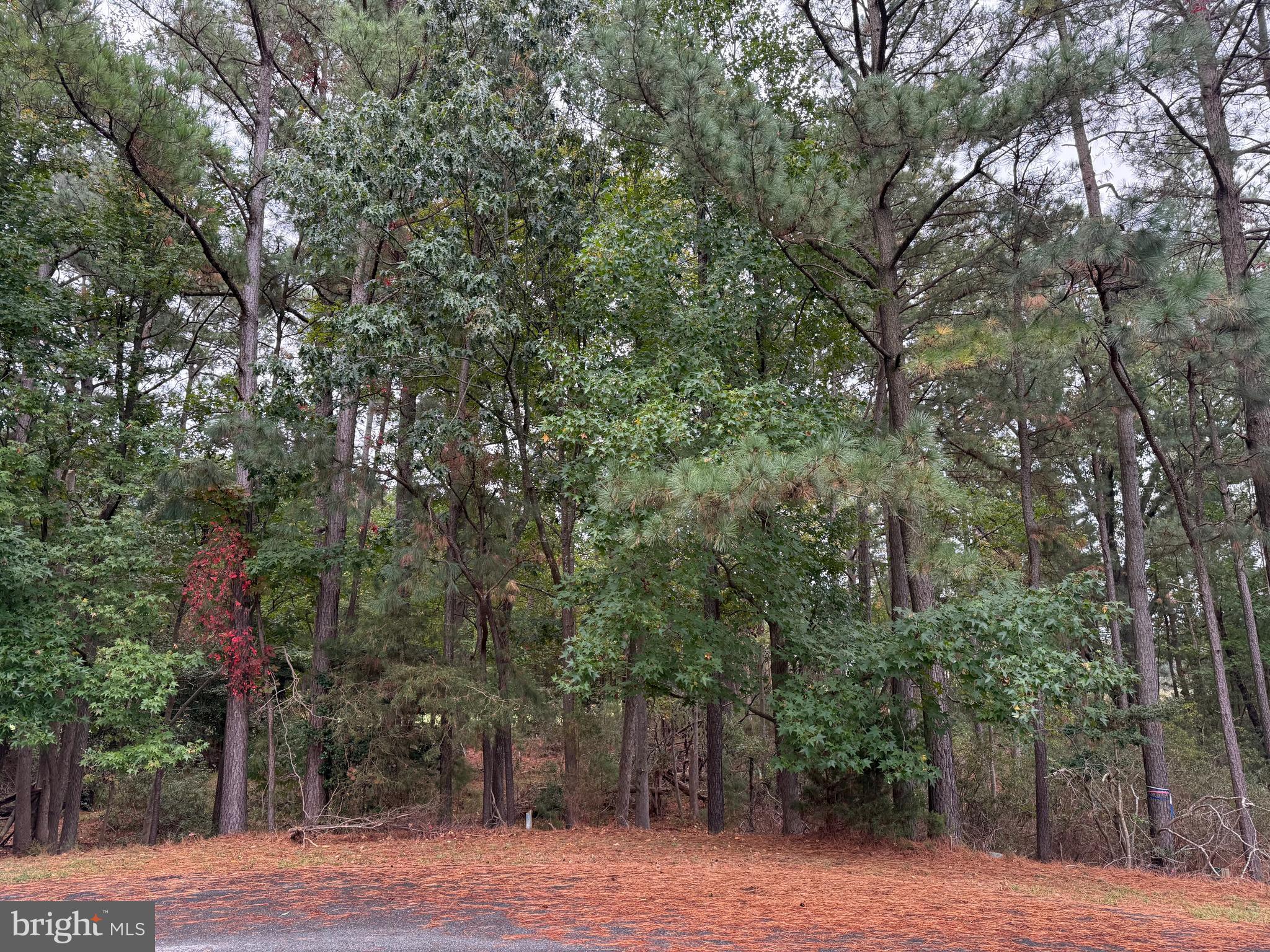 14975 PERSIMMON COURT