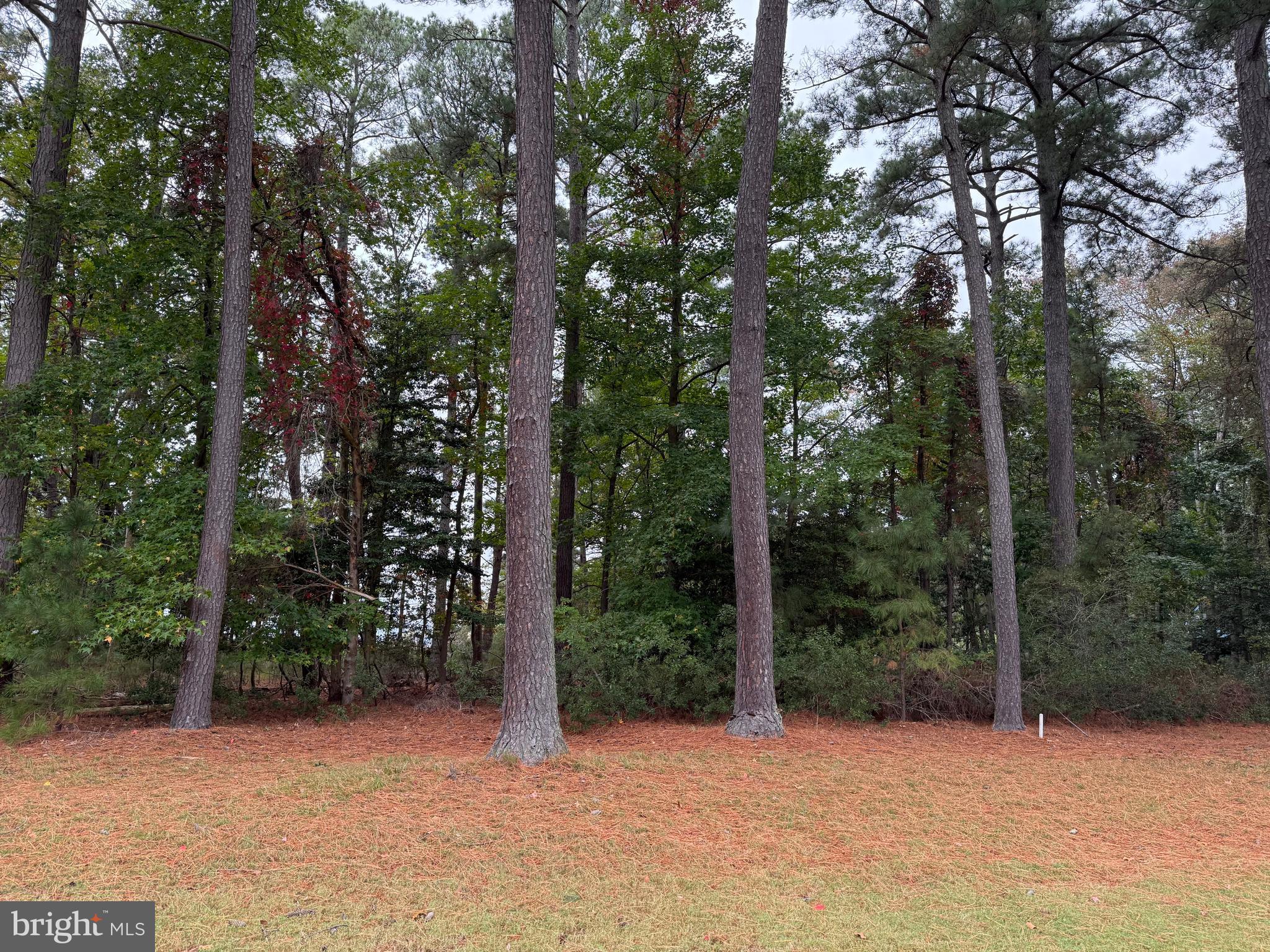 14975 PERSIMMON COURT