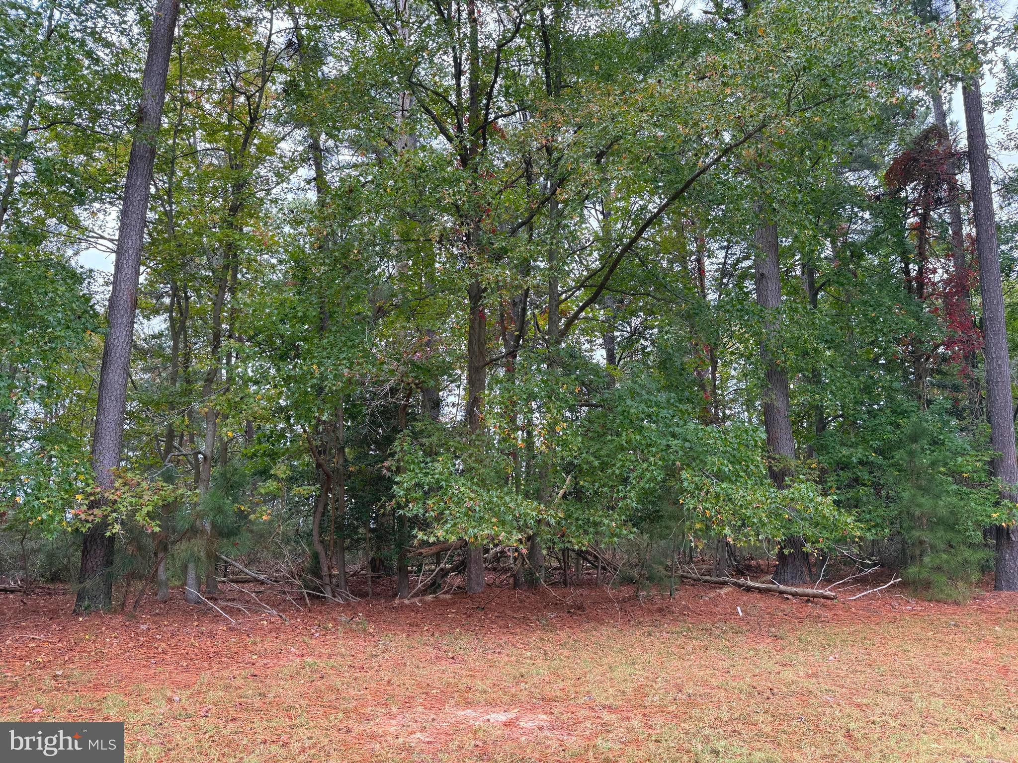 14975 PERSIMMON COURT