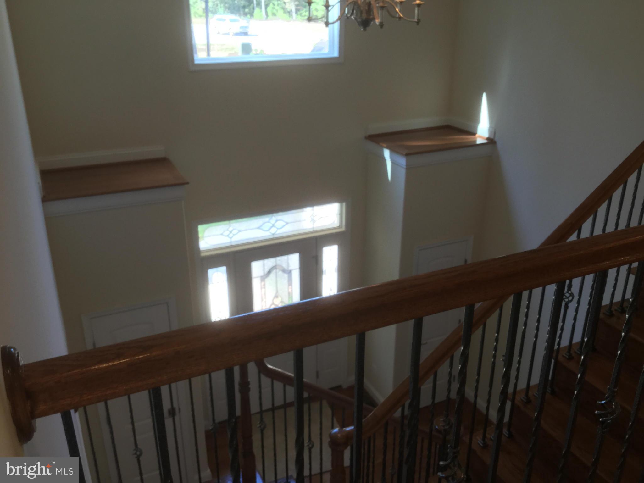 BIG CHESTNUT - Residential