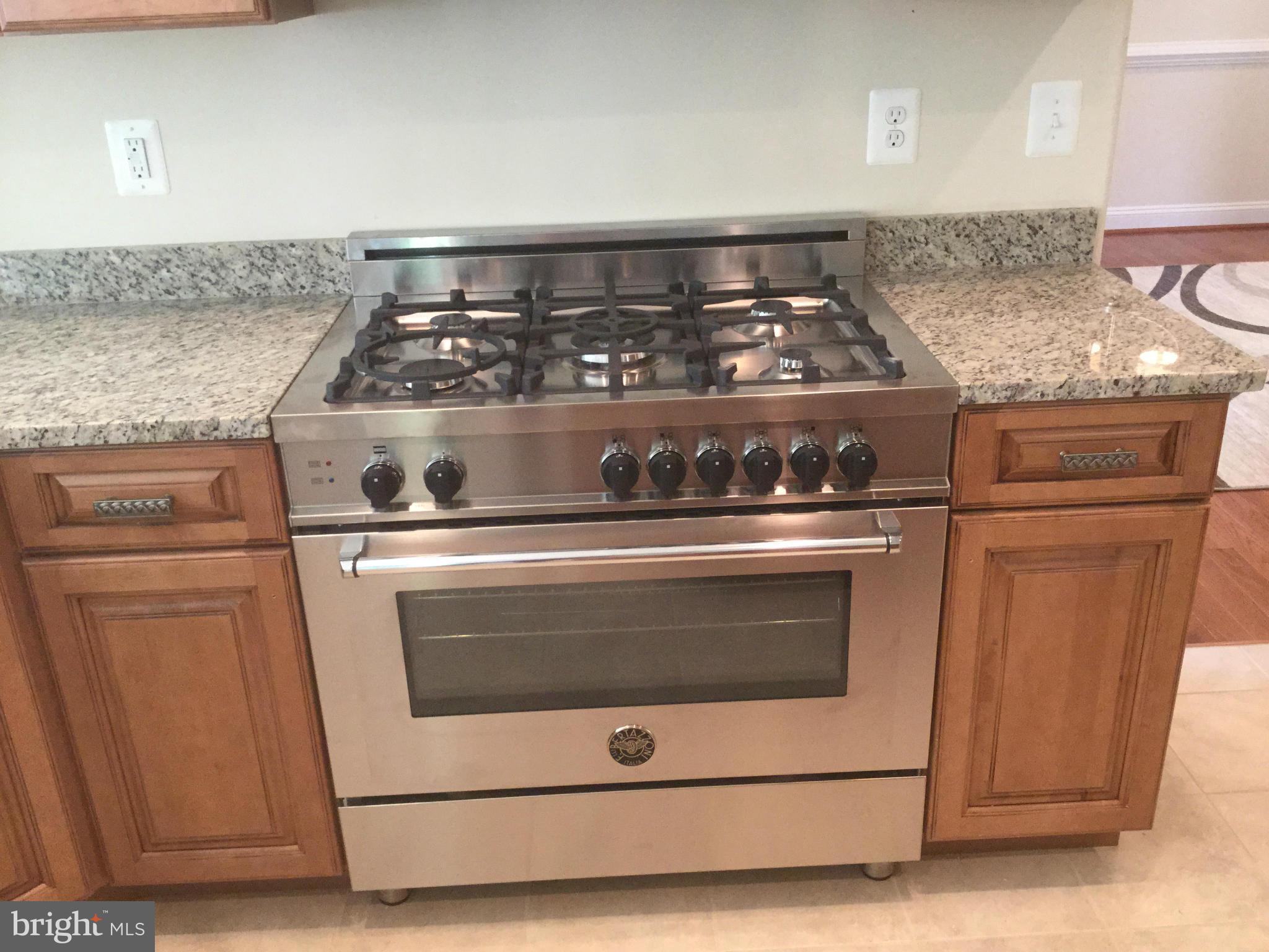 BIG CHESTNUT - Residential